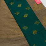 RAW SILK